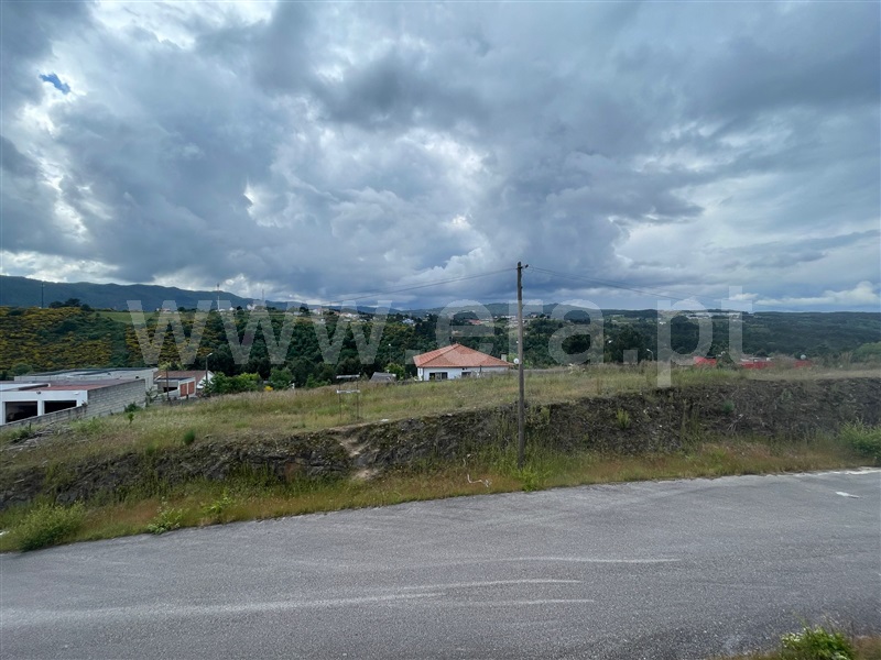 Lote / Chaves, Vale de Anta