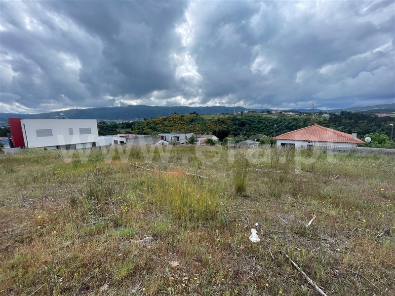 Lote  Chaves, S. Fraústo - 1476686 - 1