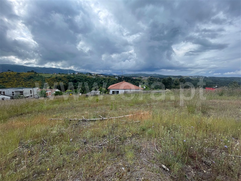 Lote  Chaves, S. Fraústo - 1476686 - 2