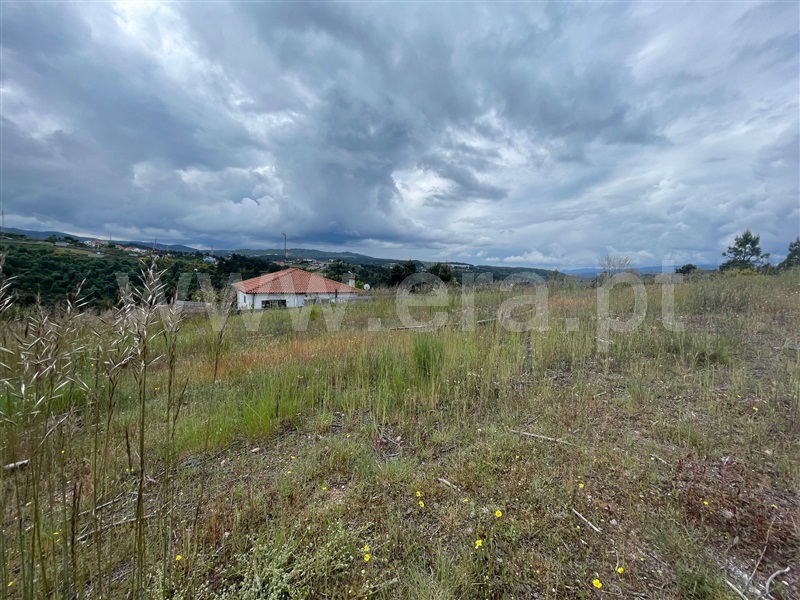 Lote  Chaves, S. Fraústo - 1476686 - 3