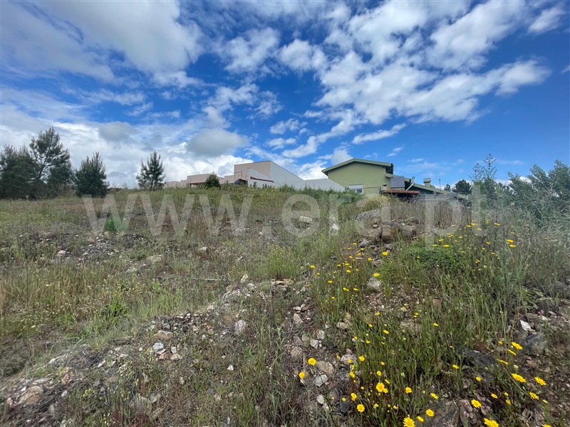 Lote  Chaves, S. Fraústo - 1476687 - 3