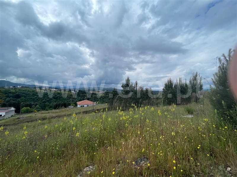 Lote  Chaves, S. Fraústo - 1476687 - 4