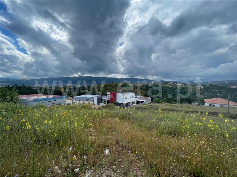 Lote  Chaves, S. Fraústo - 1476687 - 6
