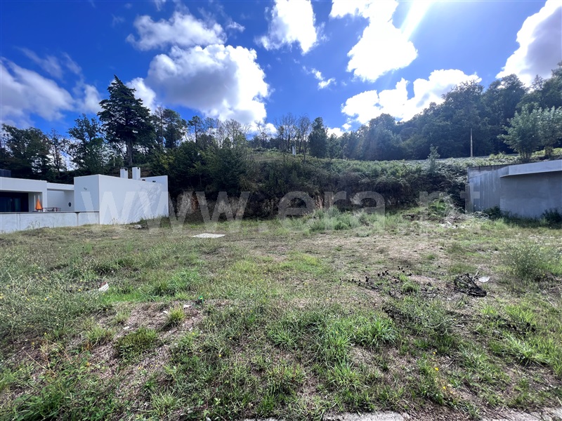 Lote  Chaves, Vilar de Nantes - 1355190 - 2