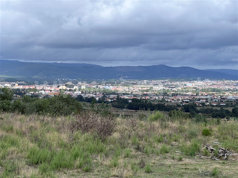 Lote / Chaves, Vilar de Nantes