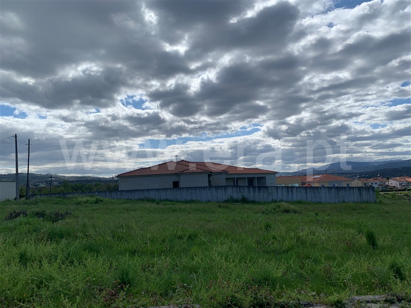 Lote / Chaves, Vilar de Nantes