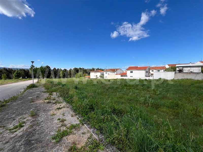 Lote  Chaves, Vilar de Nantes - 1476615 - 4