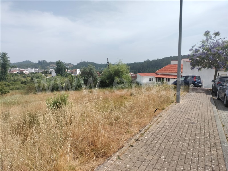 Lote / Coimbra, Assafarge e Antanhol