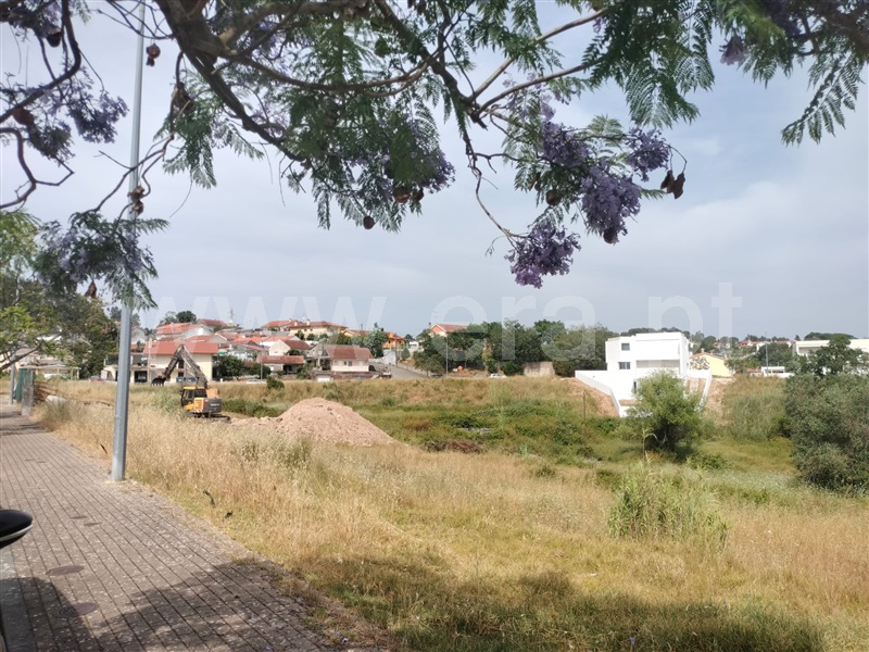Lote / Coimbra, Assafarge e Antanhol