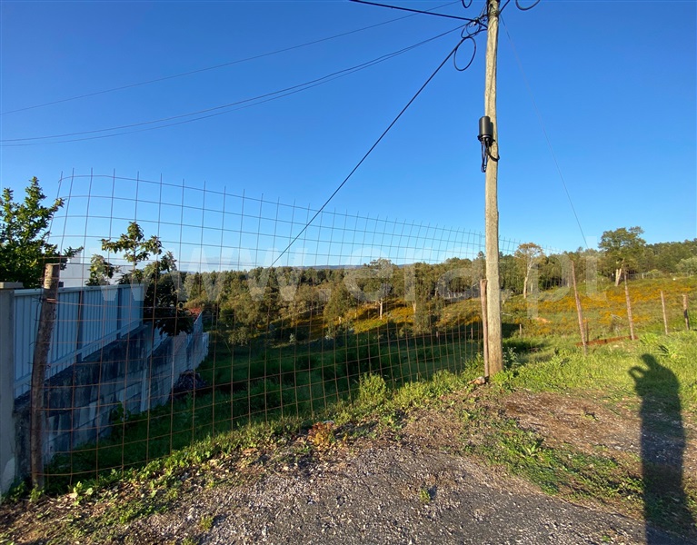 Lote / Coimbra, Eiras e São Paulo de Frades