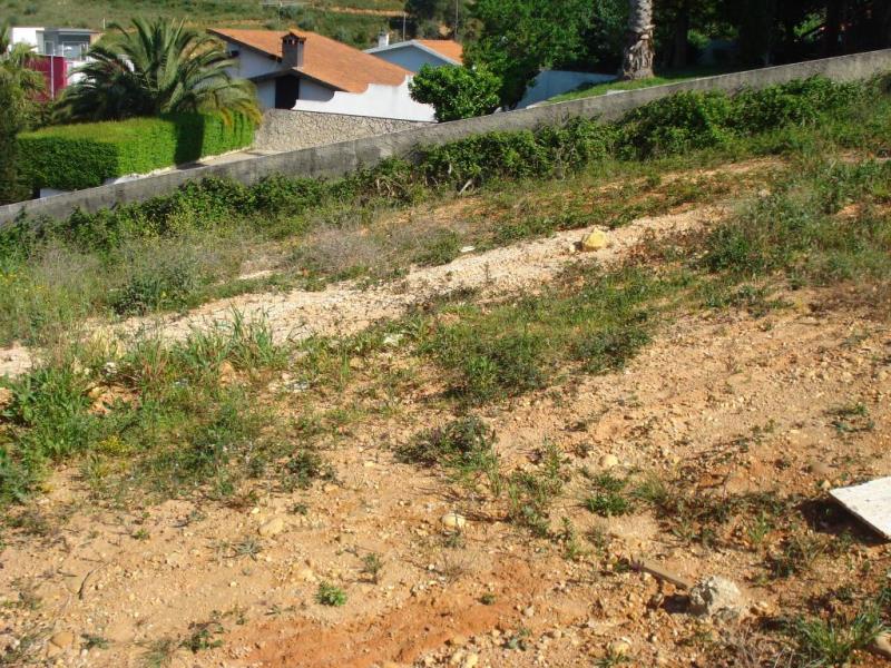 Lote  Coimbra, São Miguel - 136626 - 2