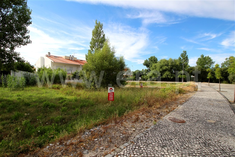 Lote  Condeixa-a-Nova, Condeixa - 133199 - 2