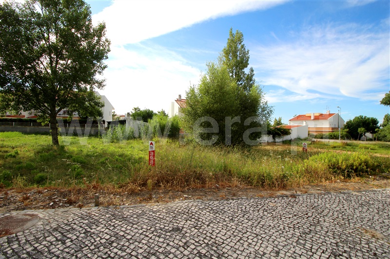 Lote / Condeixa-a-Nova, Condeixa - Centro