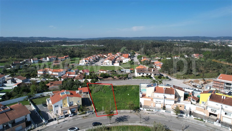 Lote / Condeixa-a-Nova, Sebal e Belide