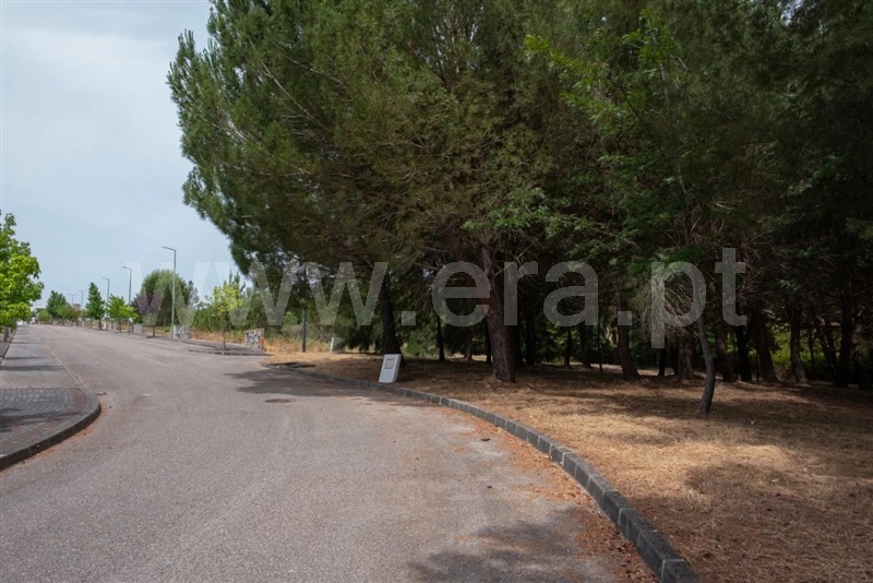 Lote  Constância - 1413853 - 3