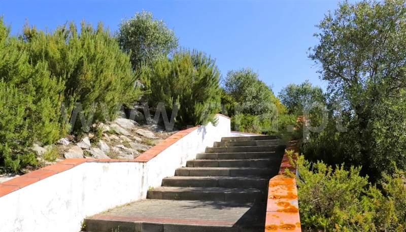 Lote  Constância - 1413857 - 4