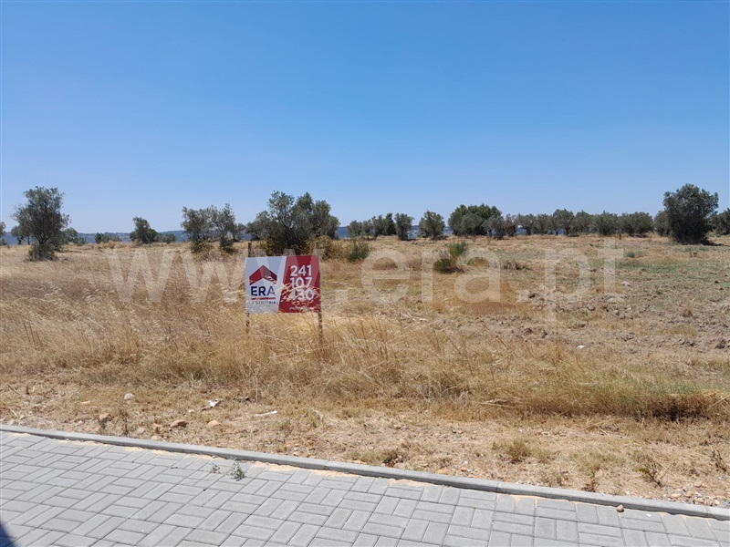 Lote / Constância, Constância