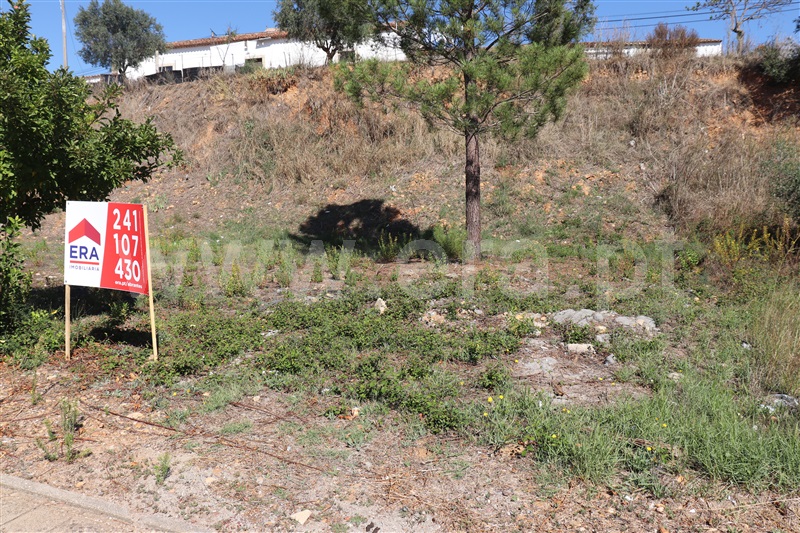 Lote / Constância, Montalvo