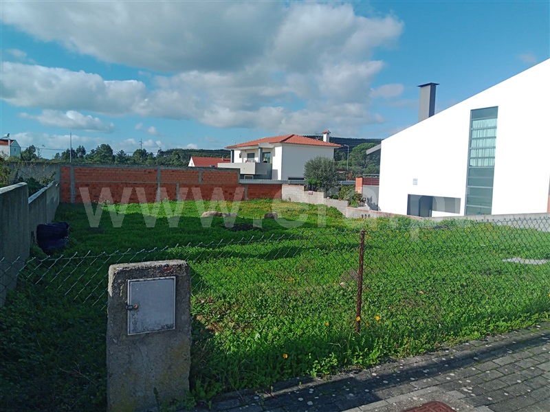 Lote  Constância, Montalvo - 1286782 - 1