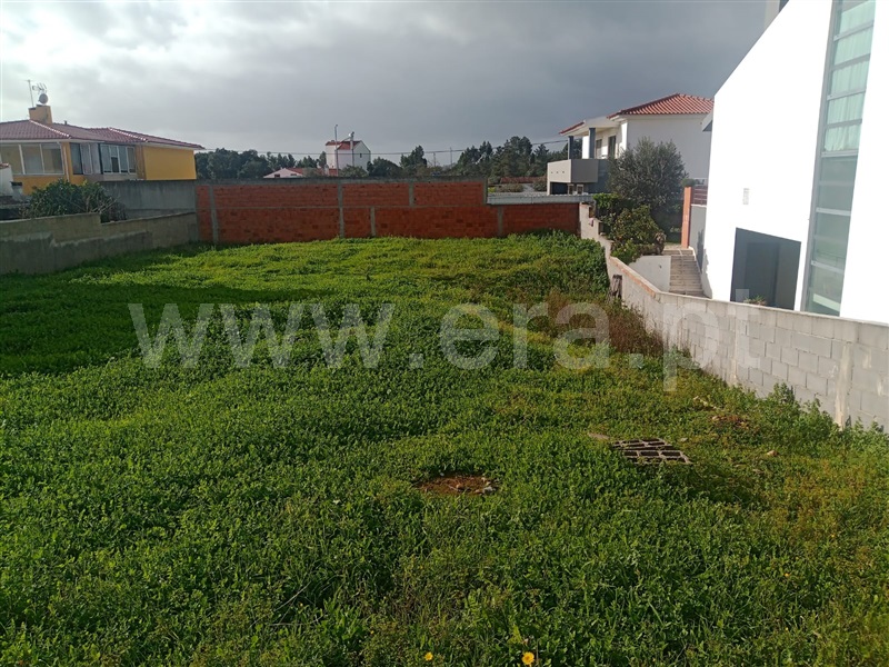 Lote  Constância, Montalvo - 1286782 - 5