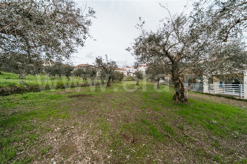 Lote  Covilhã, Barco e Coutada - 1443230 - 5