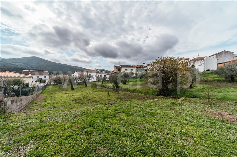 Lote  Covilhã, Barco e Coutada - 1443230 - 6