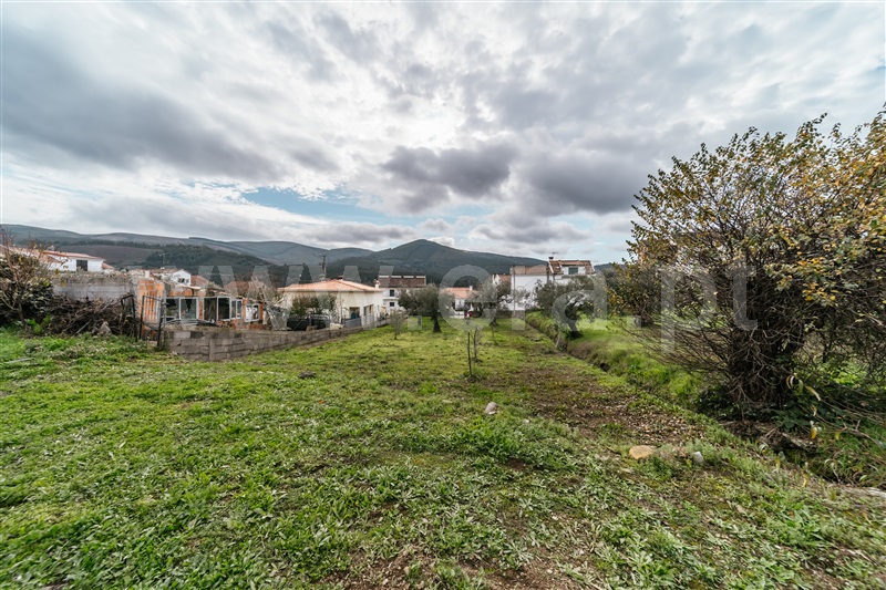 Lote  Covilhã, Barco e Coutada - 1443230 - 8