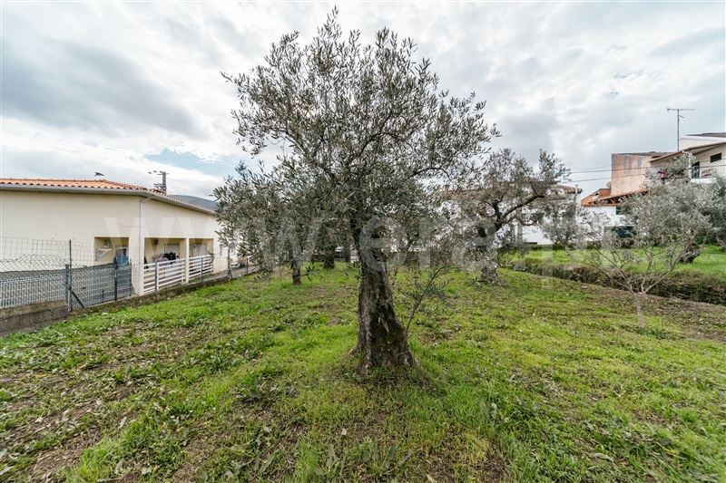 Lote  Covilhã, Barco e Coutada - 1443230 - 9
