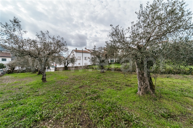 Lote  Covilhã, Barco e Coutada - 1443230 - 10