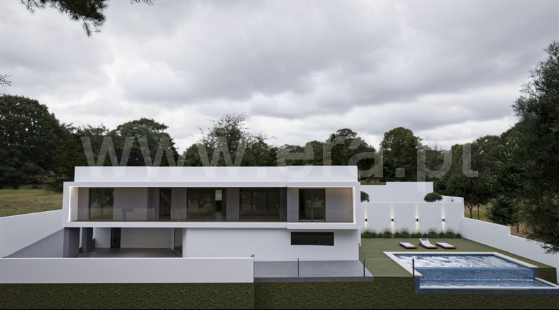 Lote / Covilhã, Cantar - Galo