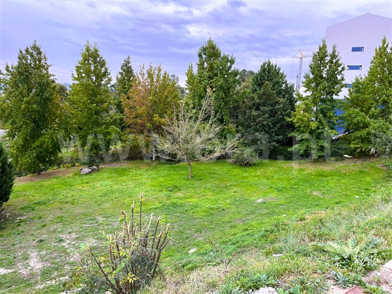Lote / Covilhã, Covilhã e Canhoso