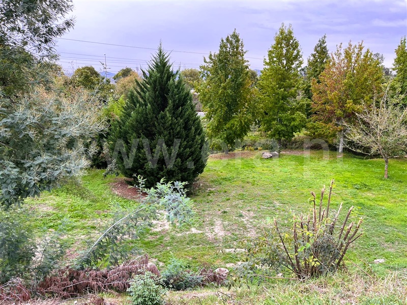 Lote  Covilhã, Covilhã e Canhoso - 1352308 - 2