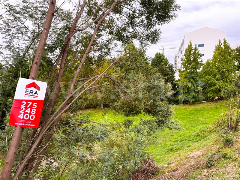 Lote / Covilhã, Covilhã e Canhoso