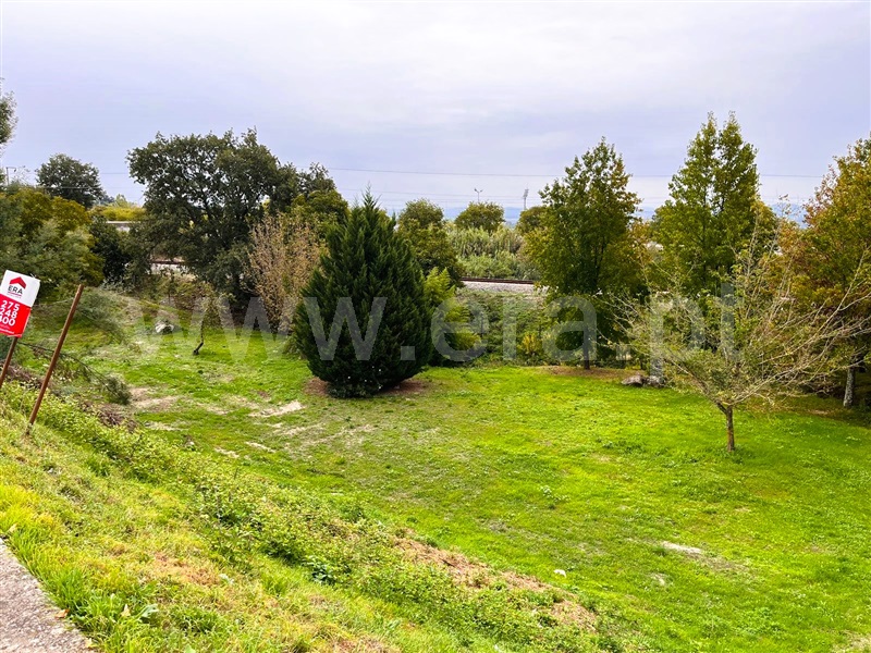 Lote / Covilhã, Covilhã e Canhoso