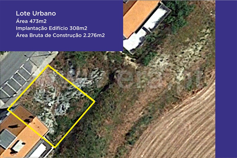 Lote / Covilhã, Covilhã