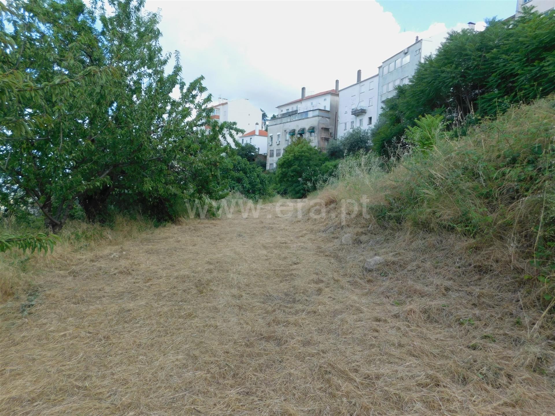 Terreno