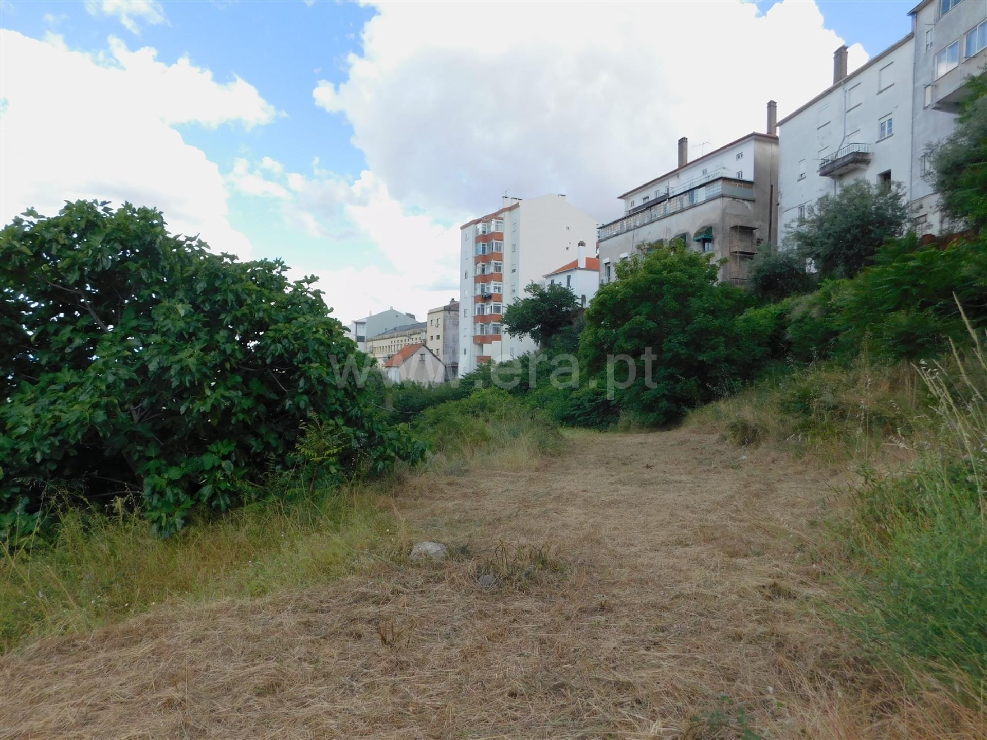 Terreno