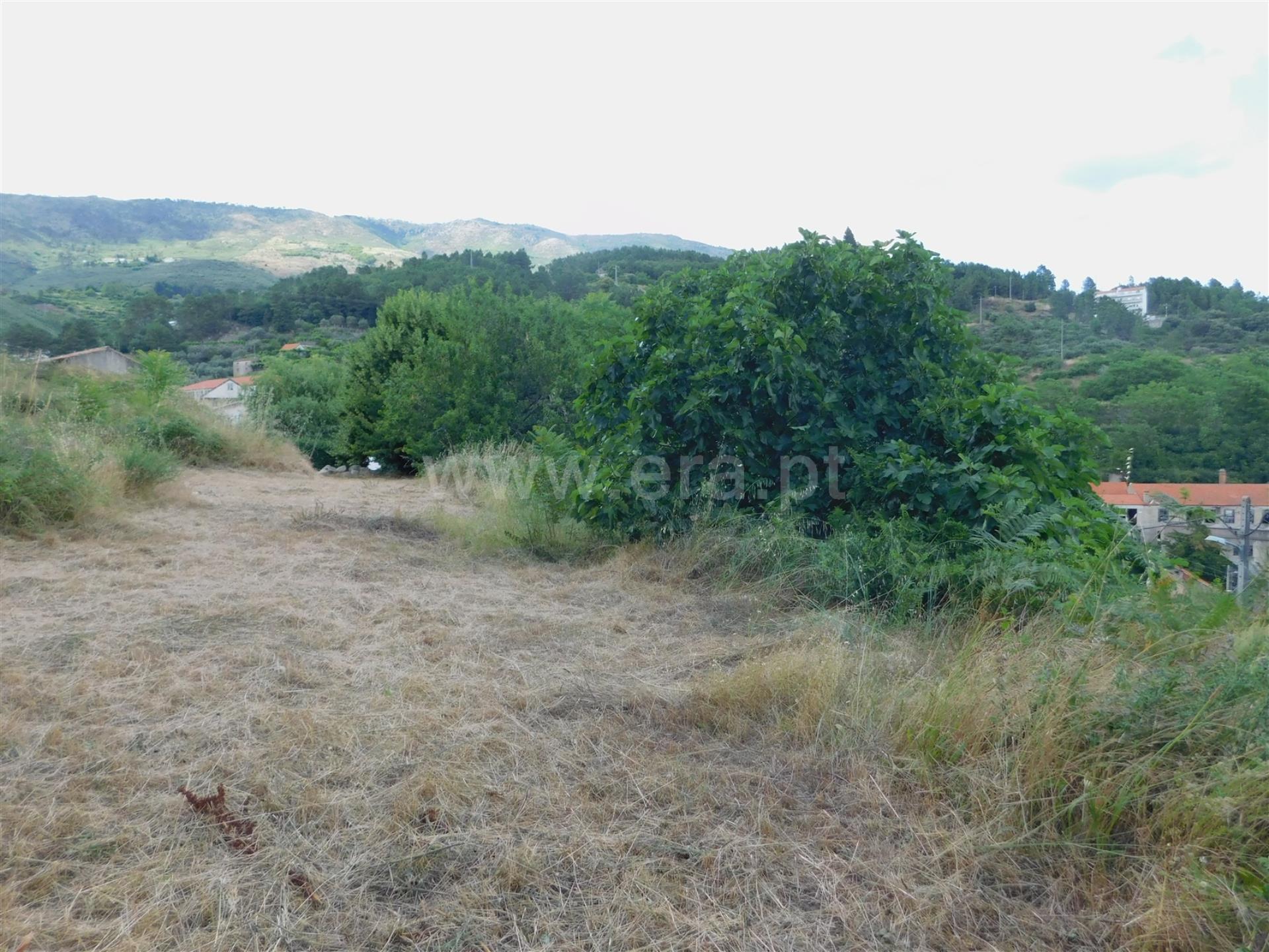 Terreno