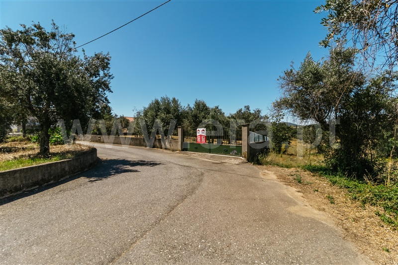 Lote  Covilhã, Dominguiso - 589685 - 1