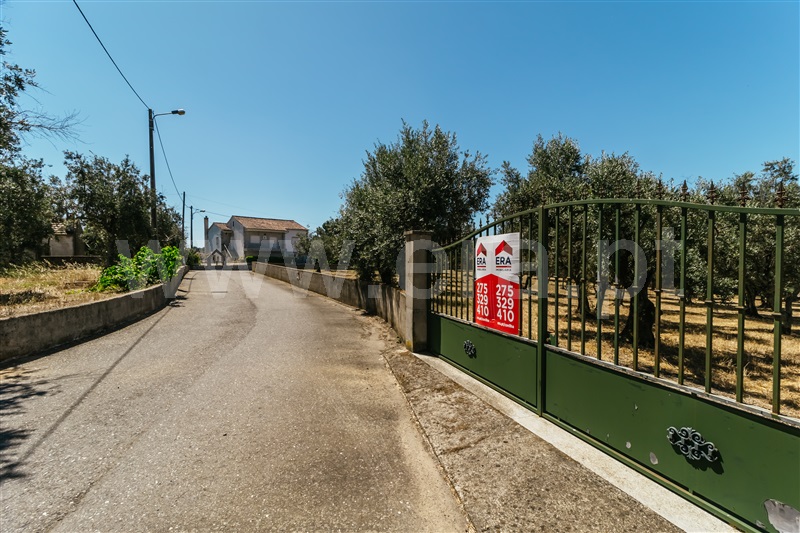 Lote  Covilhã, Dominguiso - 589685 - 2