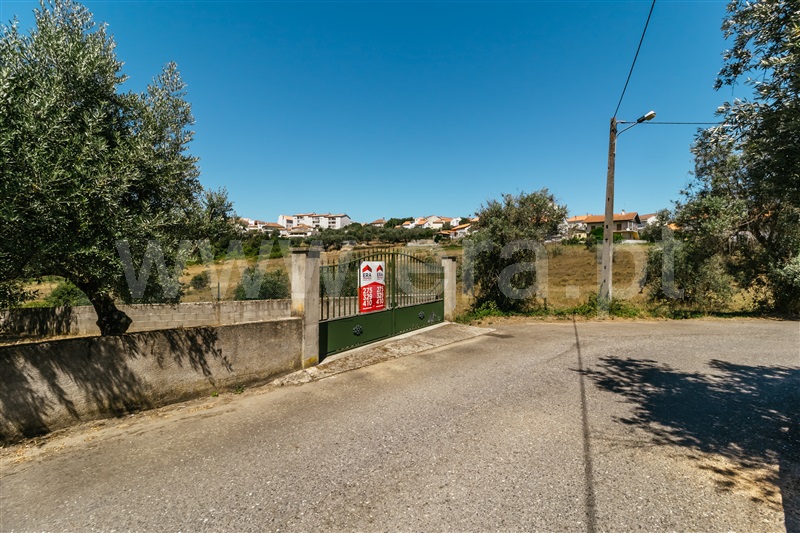 Lote  Covilhã, Dominguiso - 589685 - 3