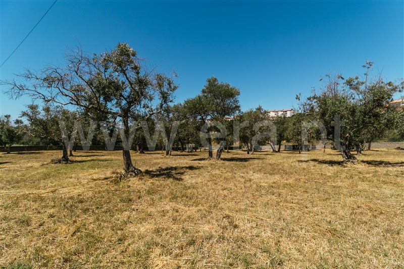 Lote  Covilhã, Dominguiso - 589685 - 5