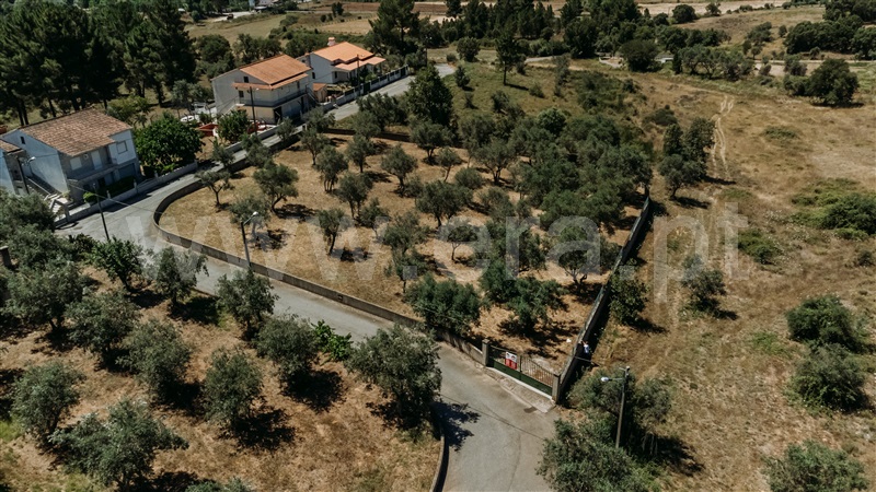 Lote  Covilhã, Dominguiso - 589685 - 7