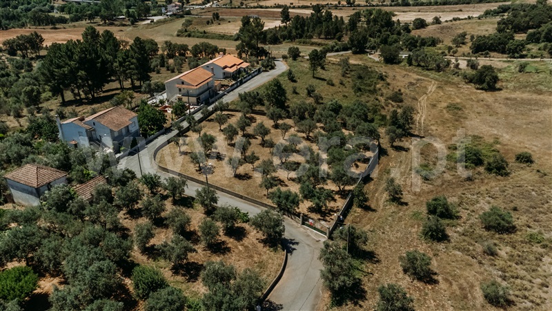 Lote  Covilhã, Dominguiso - 589685 - 8