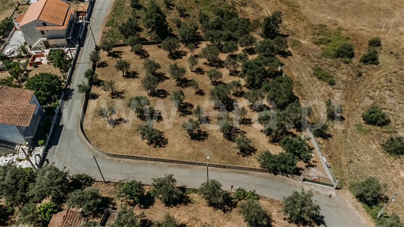 Lote  Covilhã, Dominguiso - 589685 - 9