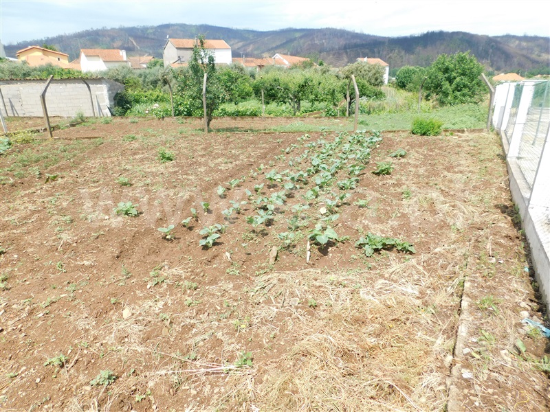 Lote / Covilhã, Paul