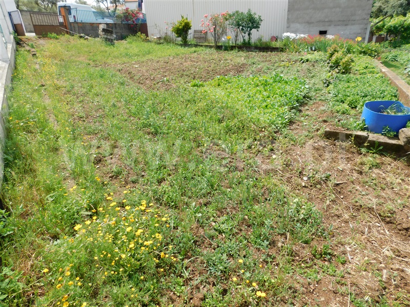 Lote  Covilhã, Paul - 922199 - 2
