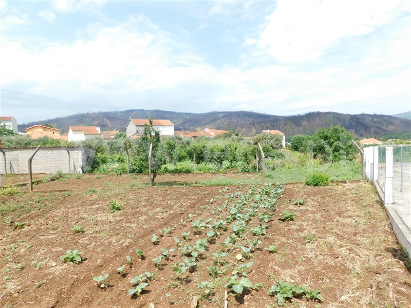 Lote  Covilhã, Paul - 922199 - 3