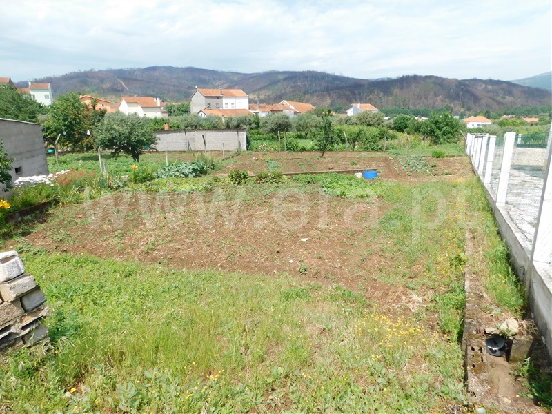 Lote  Covilhã, Paul - 922199 - 4
