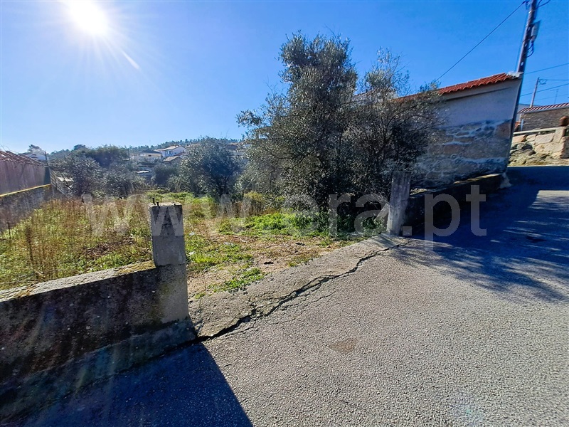 Lote  Covilhã, Teixoso e Sarzedo - 1456984 - 6
